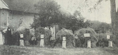 100 Jahre Gründung der Landwirtschaftskammer Niederösterreich