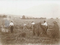 Landarbeit organisieren