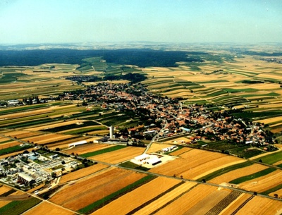 Agricultural Country Lower Austria, 1918–1995