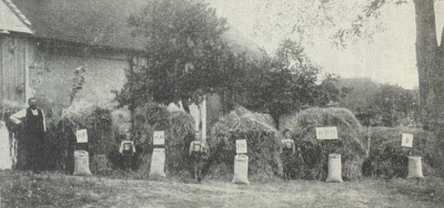 100 Years since the Foundation of the Chamber of Agriculture of Lower Austria