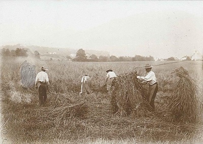 Organising Agricultural Labour. Administrative Struggles in Interwar Austria