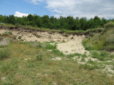 The Sand Land in the Marchfeld