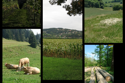 Typology of Rural Austria around 1930